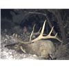 Image 3 : 2021 Nevada Heritage Elk Tag