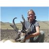 Image 2 : Nevada Unit 183 Landowner Antelope Tag - 2021 Season