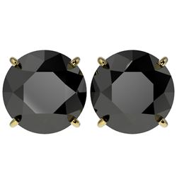 5 ctw Fancy Black Diamond Solitaire Stud Earrings 10k Yellow Gold - REF-82N2F