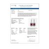 Image 4 : 23.79 ctw Certified Ruby & Diamond Victorian Earrings 14K White Gold - REF-481Y6X