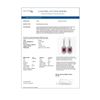 Image 4 : 14.16 ctw Certified Ruby & Diamond Victorian Earrings 14K White Gold - REF-318A2N