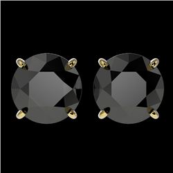 3.50 ctw Fancy Black Diamond Solitaire Stud Earrings 10k Yellow Gold - REF-60R3K