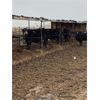 Image 2 : ID Dairies/Ranches - 38 Cows