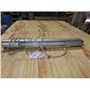 Image 1 : Neon 110v
