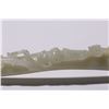 Image 9 : Hetian Jade Ruyi Ganoderma Ornament