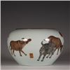 Image 1 : Famille Rose Jar, Daqing-Qianlong-Nianzhi Mark