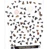 Image 2 : Collection of Fossilized Shark's Teeth & Garnets