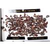 Image 8 : Collection of Fossilized Shark's Teeth & Garnets