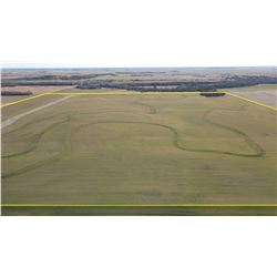 160 +/- Acres of Dryland Crop and CRP Land