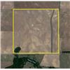 Image 7 : 160 +/- Acres of Dryland Crop and CRP Land