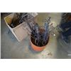 Image 2 : Box and bucket of decorative metal