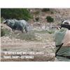 Image 7 : SAAM(TM) Precision & Safari/Hunt Combo Course for Two Hunters