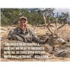 Image 9 : SAAM(TM) Precision & Safari/Hunt Combo Course for Two Hunters