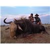 Image 10 : SpringBuck GrandSlam Plus a Golden Wildebeest For 2 Hunters & 2 Non-Hunter MakhuluSafaris