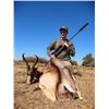 Image 4 : SpringBuck GrandSlam Plus a Golden Wildebeest For 2 Hunters & 2 Non-Hunter MakhuluSafaris
