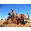Image 9 : SpringBuck GrandSlam Plus a Golden Wildebeest For 2 Hunters & 2 Non-Hunter MakhuluSafaris