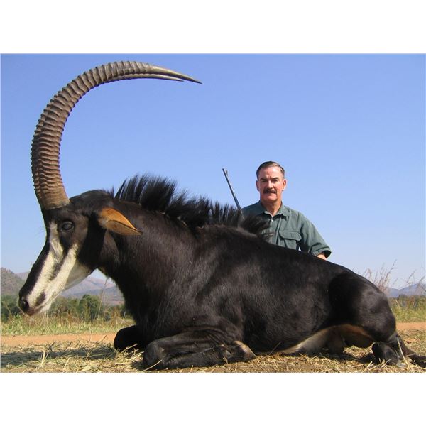 Trophy Sable Safari with Peter Thormahlen of Thormahlen & Cochran Safaris