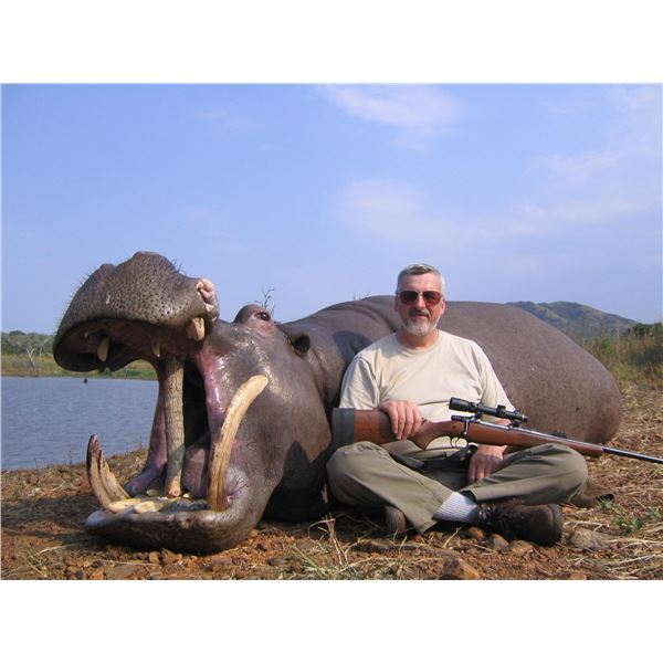 Hippo Hunt, A own-use non-exportable, for 1 Hunter with Thormahlen & Cochran Safaris