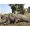 Image 9 : Hippo Hunt, A own-use non-exportable, for 1 Hunter with Thormahlen & Cochran Safaris