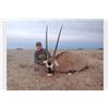 Image 4 : Trophy Oryx Hunt Free Range on 362,000 acre Private Ranch for a Trophy Cow Oryx in New Mexico