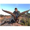 Image 2 : Beceite Ibex hunt in Zaragoza Spain donated by 4 Aces Outfitters