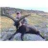 Image 5 : Beceite Ibex hunt in Zaragoza Spain donated by 4 Aces Outfitters