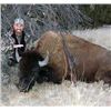 Image 7 : Trophy Bull Bison Hunt in New Mexico 2 Days for 1 Hunter with Rancho De Chavez