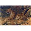 Image 1 : Leopard Lair. Original oil on canvas by Zimbabwean wildlife artist Jan Stander.