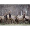 Image 1 : 3 Day Premium Guided Cow Elk Hunt on Vermejo Park Ranch for 1 hunter & 1 non-hunter