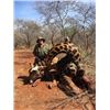 Image 7 : 7 Day Giraffe Hunt for 2 Hunters with Monkane Safaris includes 2 Giraffe, 1 each per hunter