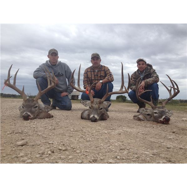 PLEASE CHECK OUT OUR ONLINE RAFFLES/DRAWINGS