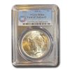 Image 1 : 1923 Peace Dollar MS-64 PCGS (VAM 1C Tail on O)