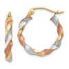 Image 1 : 14k Solid Tri-Color Gold Satin Twisted Hoop Earrings - 4637A