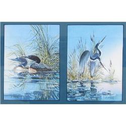 Alfoldy Canadian Watercolour Loon Heron