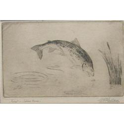 Gillam American Etching Fish Salmon