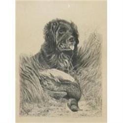 Milne British pen & ink hunting dog