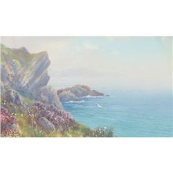 Hicks British Newquay, Cornwall & Dartmoor