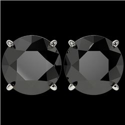 5 ctw Fancy Black Diamond Solitaire Stud Earrings 10k White Gold - REF-82R2K