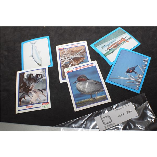 DUCKS UNLIMITED TRADING CARDS