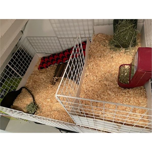 Guinea Pig Cage