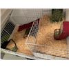 Image 1 : Guinea Pig Cage