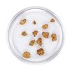 Image 2 : Lot of Gold Nuggets 2.58 Grams Total Weight