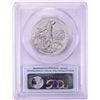 Image 2 : 2013-W $100 Proof Platinum American Eagle Coin PCGS PR70DCAM First Strike