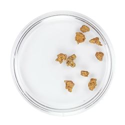 Lot of Gold Nuggets 1.73 Grams Total Weight