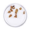 Image 2 : Lot of Gold Nuggets 2.23 Grams Total Weight