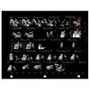 Image 1 : Fleetwood Mac Contact Sheet Photograph