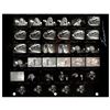 Image 1 : Fleetwood Mac Contact Sheet Photograph