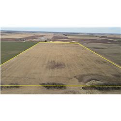 Tract 1 - 80 +/- Acres of Dryland