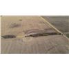 Image 3 : Tract 1 - 80 +/- Acres of Dryland