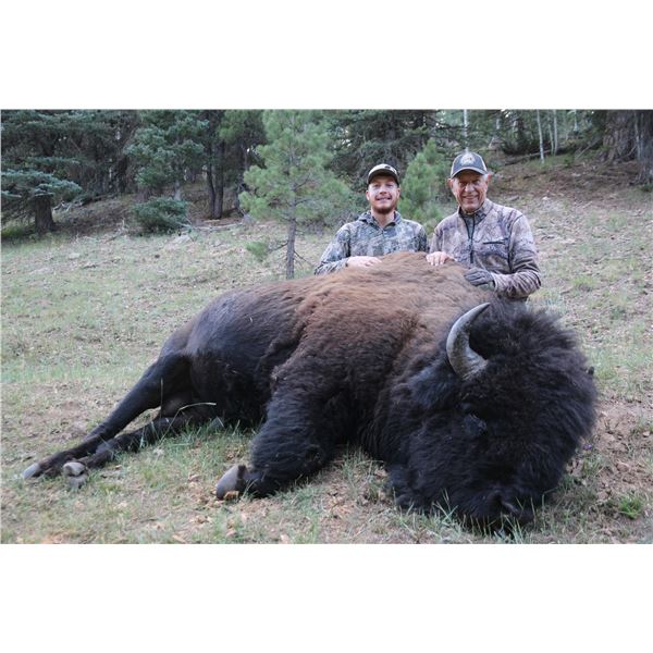 2021 Arizona Commissioners Special License - Buffalo Tag